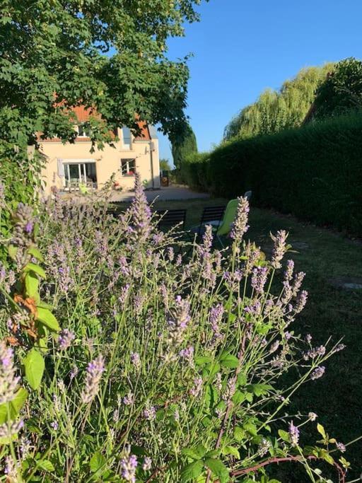 Maison Village, 10 Pers, Proche De La Plage Audinghen Esterno foto